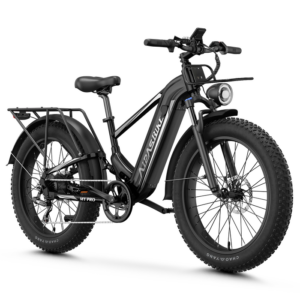 Aipas M2 Xterrain Ebike Aipas-M2-black Basket